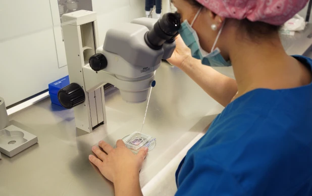 Transferência de Embriões Criopreservsados (TEC)