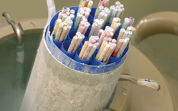 Transferência de Embriões Criopreservsados (TEC)