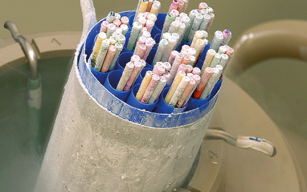 Criopreservação de Ovócitos