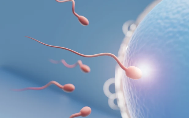 Ativação Ovocitária