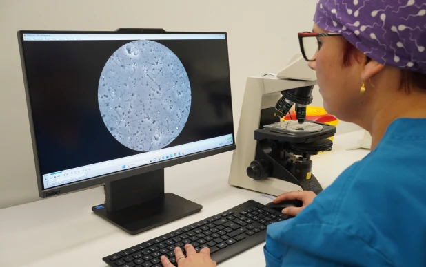 Profissional de saúde analisa em um monitor a imagem ampliada de espermatozoides obtida por um microscópio.