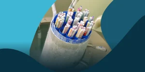 Criopreservação de Gâmetas